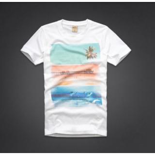 T-shirt Hollister Blanc Homme